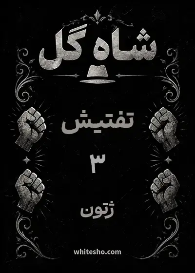 کارت تفتیش شاه گل، ۳ ژتون